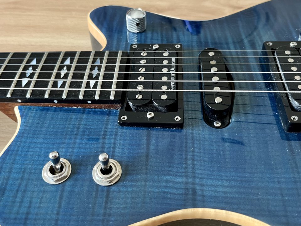 Guitarra Framus Panthera Custom 2003 de segunda mano · Foto 5 de 7 · Lleida · 1350 €