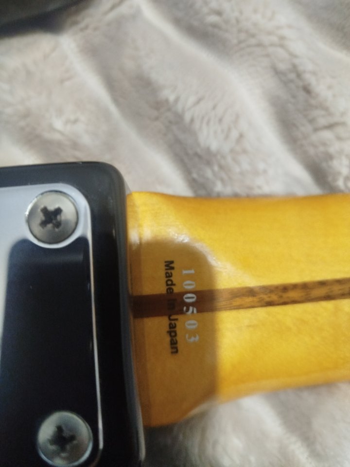 Tokai hard puncher bass