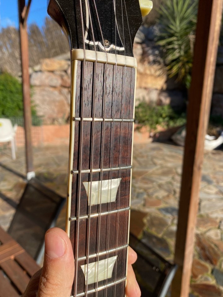 Les Paul Brazilian de luthier