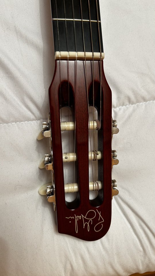 Godin ACS-SA Guitarra Nylon Alta Gama de segunda mano · Foto 4 de 5 · Segovia · 1400 €