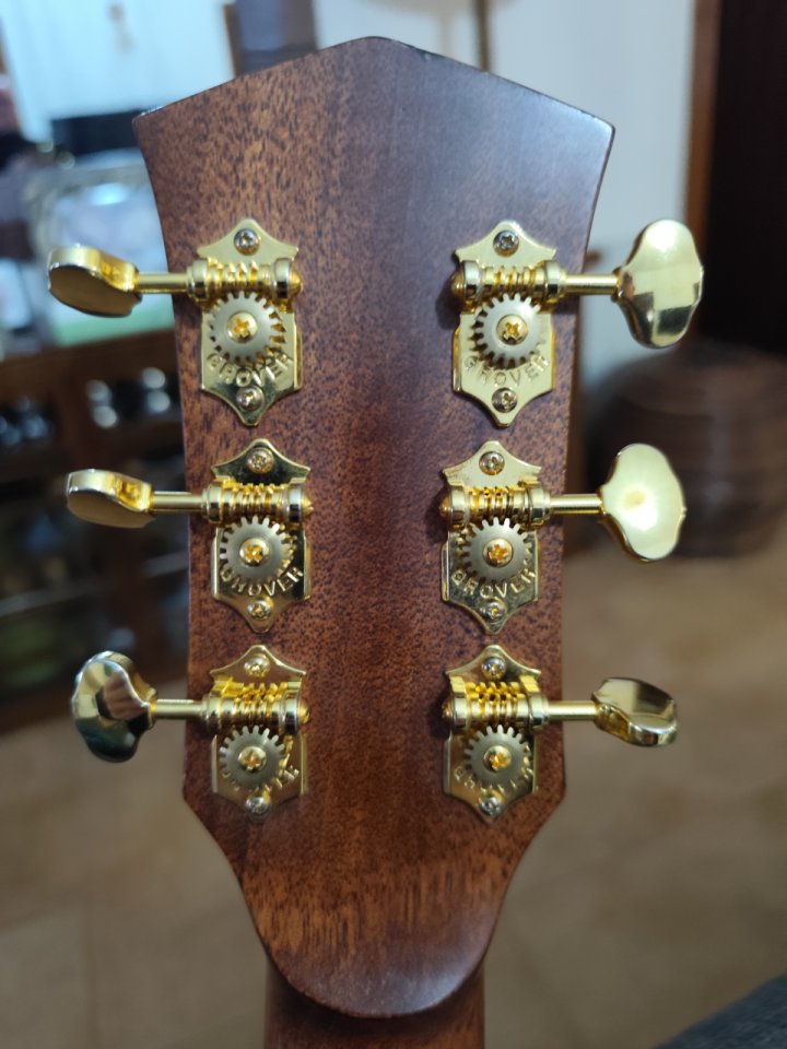 Cort Gold O6 nat electroacústica