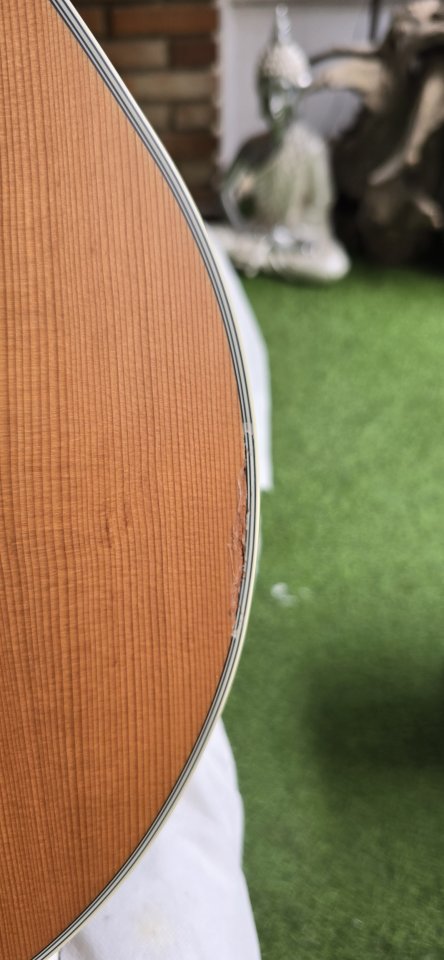 Takamine acústica de segunda mano · Foto 10 de 10 · Madrid · 220 €