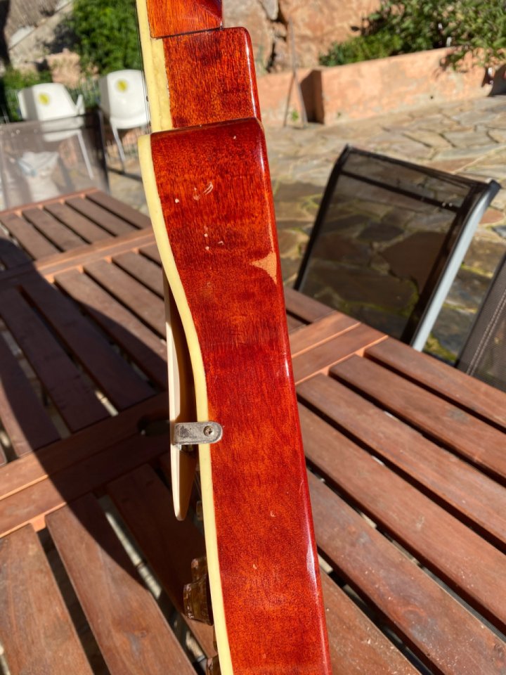 Les Paul Brazilian de luthier