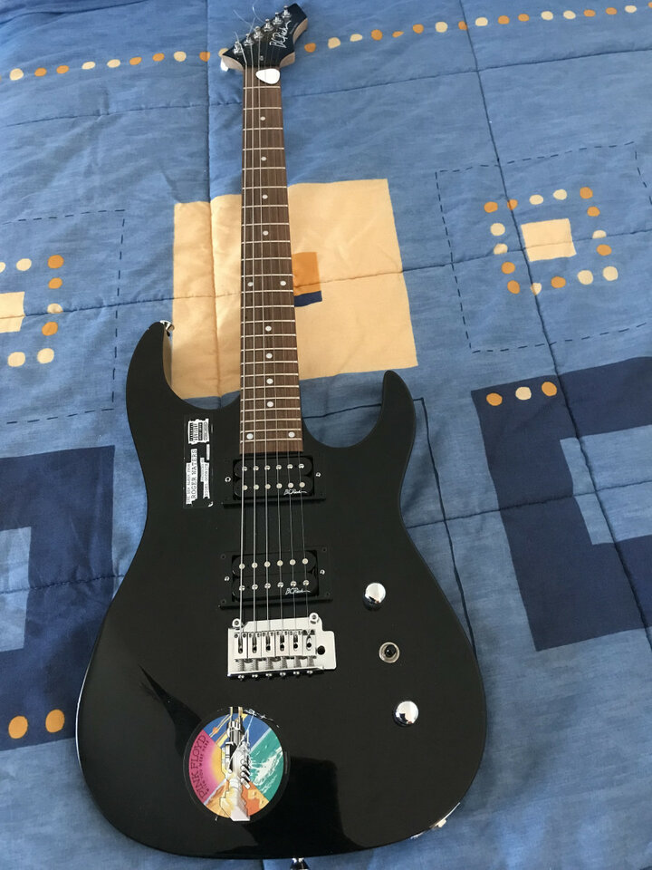 Bc Rich Bronze Series