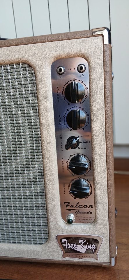 Tone King Falcon Grande de segunda mano · Foto 2 de 4 · Barcelona · 1350 €