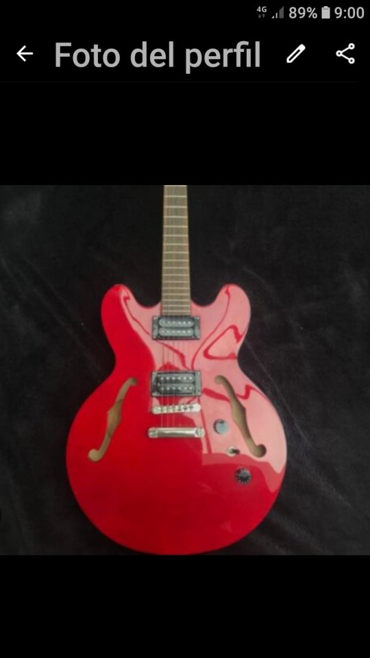 Epiphone Dot Studio 335 .