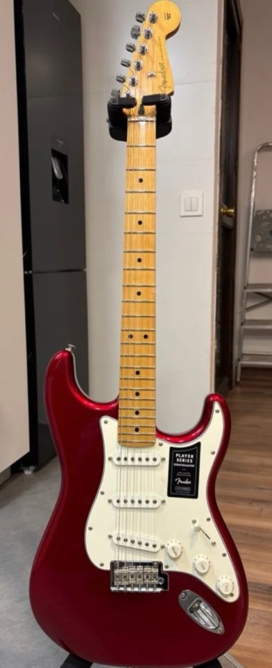 Fender stratocaster mejicana