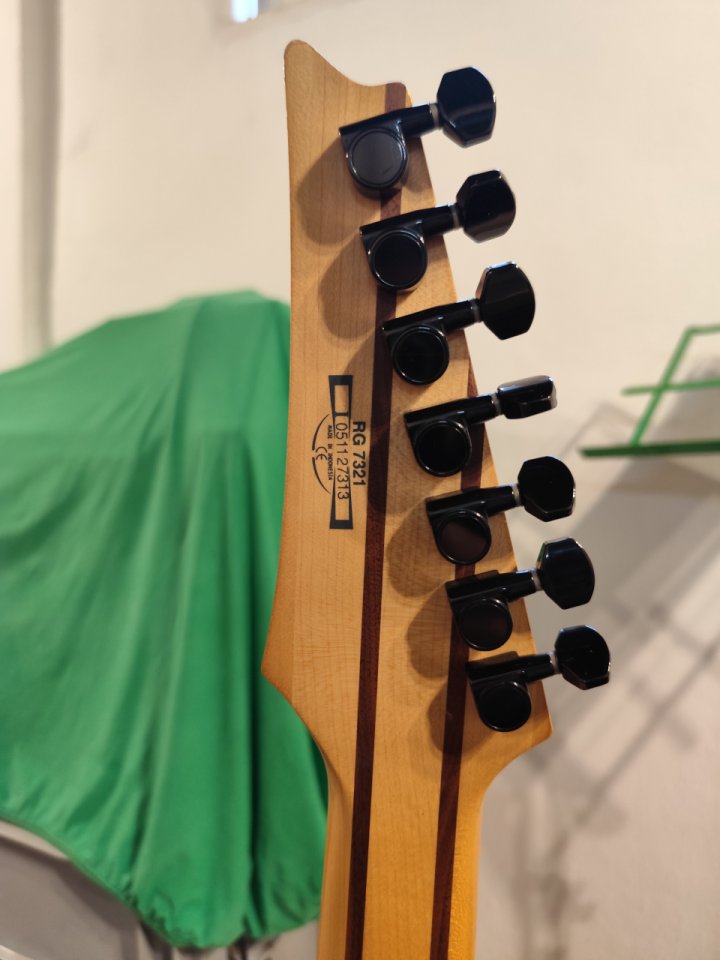 Guitarra 7 cuerdas Ibanez RG7321 de segunda mano · Foto 5 de 6 · Valencia · 250 €