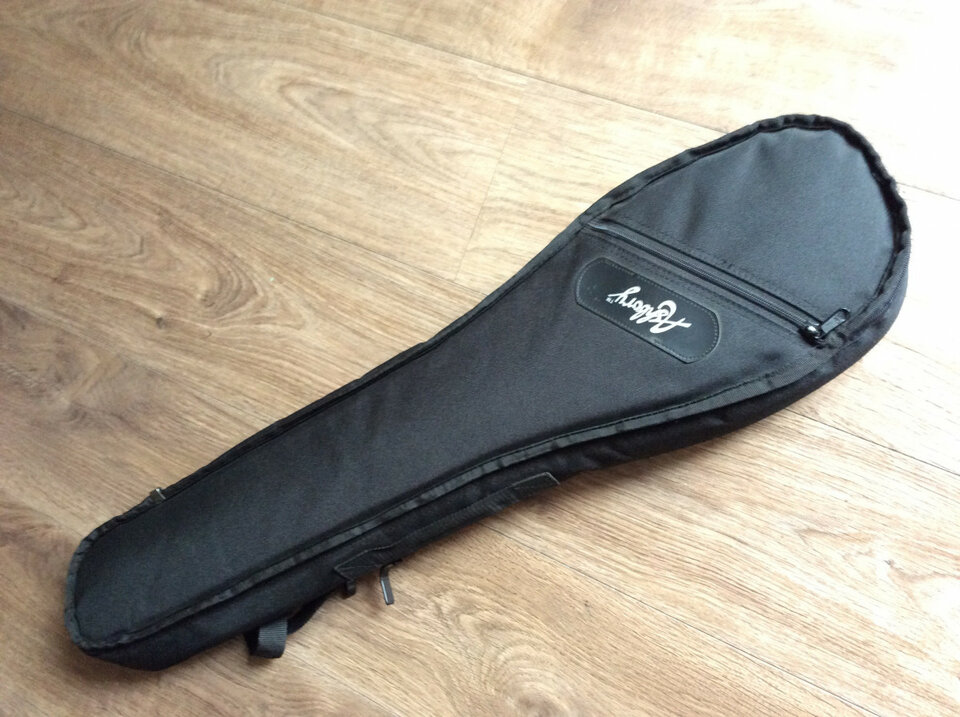 Ashbory Bass by Fender