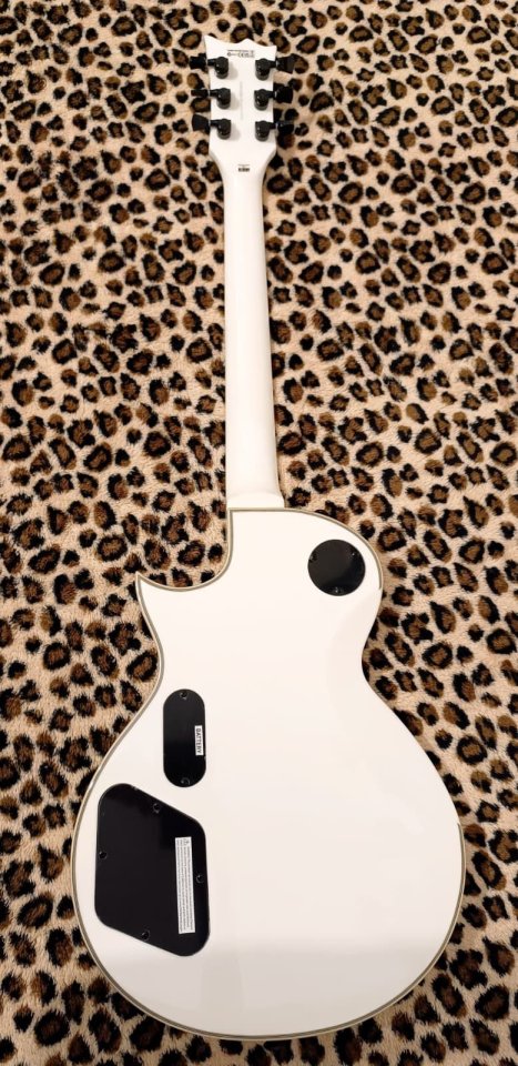 LTD Iron Cross de segunda mano · Foto 3 de 8 · Barcelona · 1399 €
