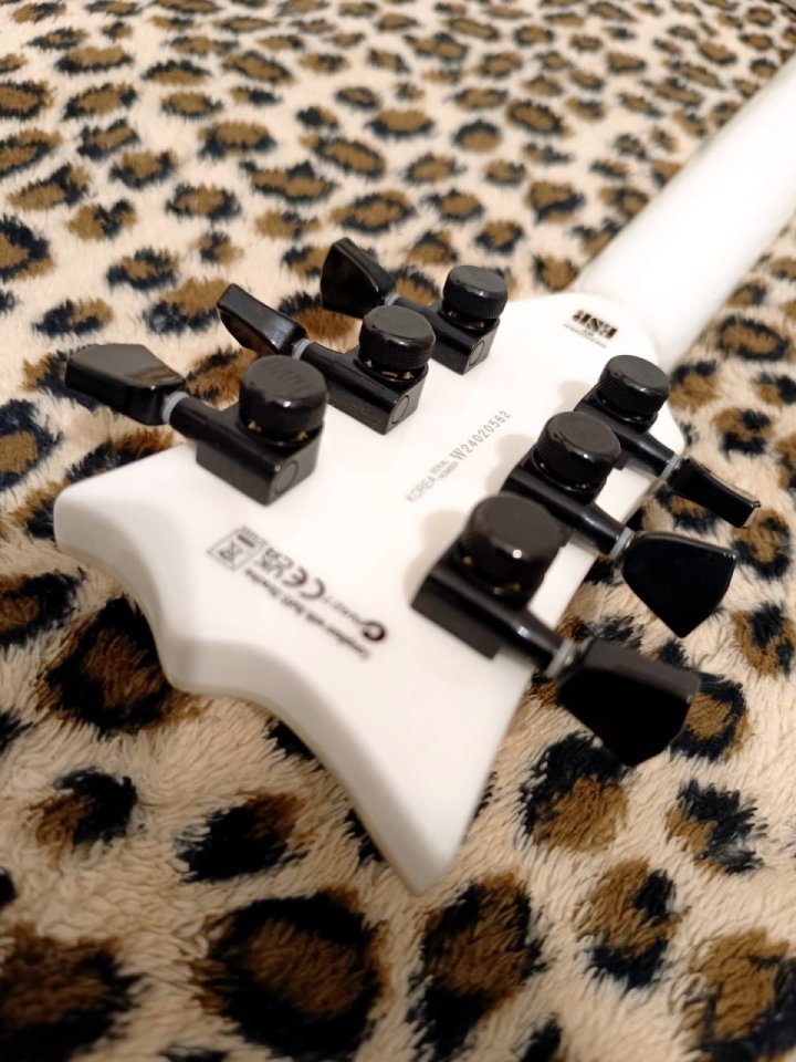 LTD Iron Cross de segunda mano · Foto 5 de 8 · Barcelona · 1399 €