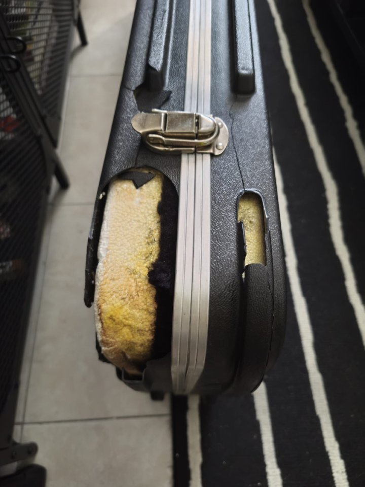 Estuche rígido para bajo Sterling USA. Music Man