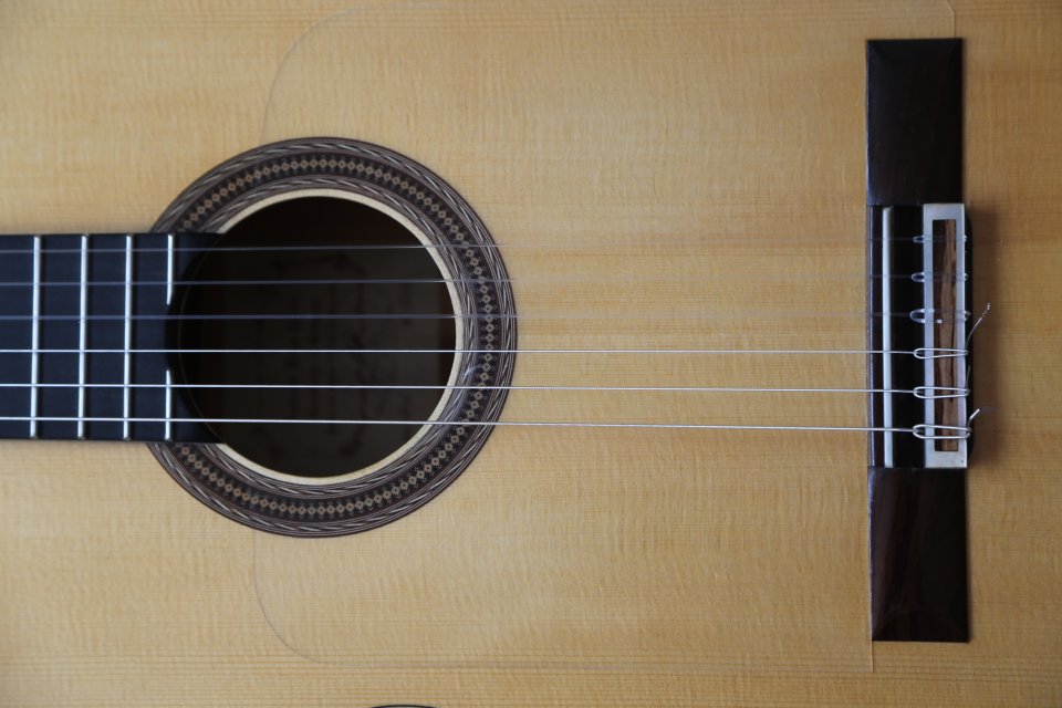 Guitarra Flamenca Antonio Raya Pardo (2016 Granada) o cambio por guitarra de Jazz