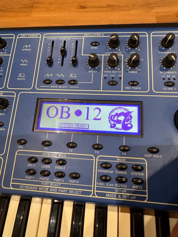 Oberheim OB12 de segunda mano · Foto 9 de 10 · A Coruña · 890 €
