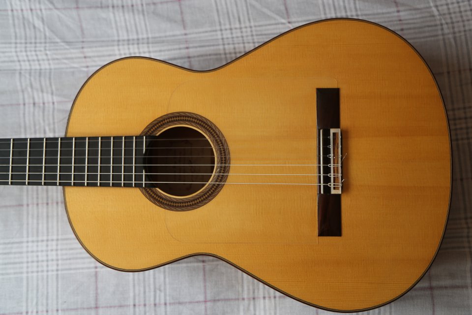 Guitarra Flamenca Antonio Raya Pardo (2016 Granada) o cambio por guitarra de Jazz