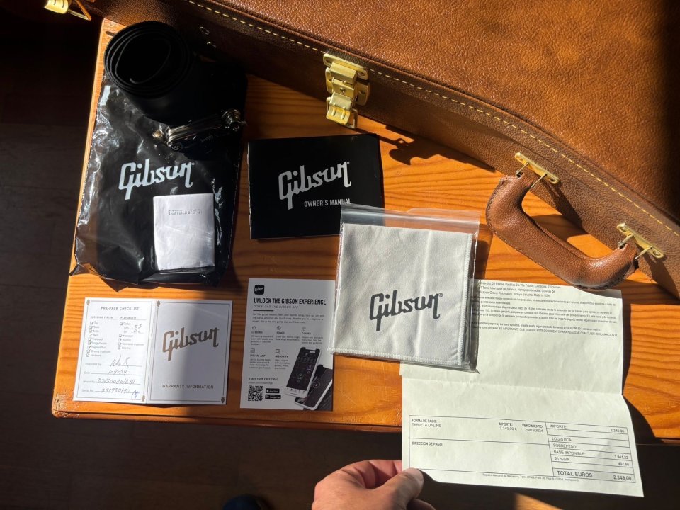 Gibson Flying V 70s (white)