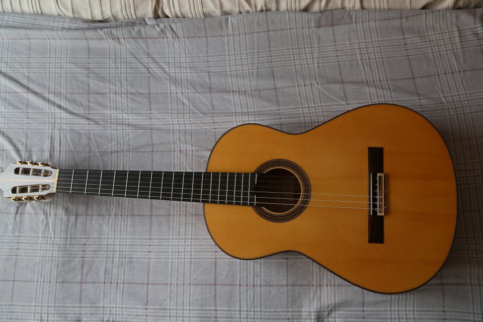 Guitarra Flamenca Antonio Raya Pardo (2016 Granada) o cambio por guitarra de Jazz