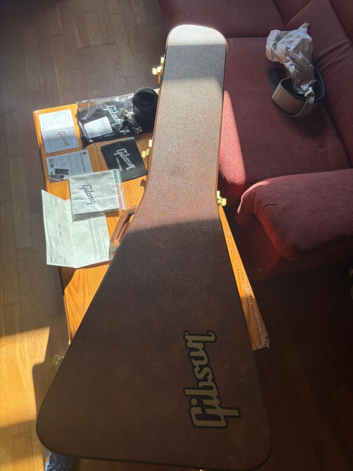 Gibson Flying V 70s (white)