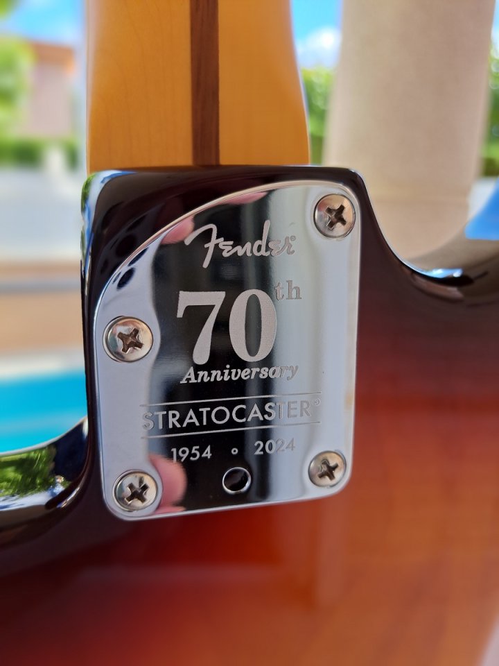 Fender Stratocaster Amercican Professional II .