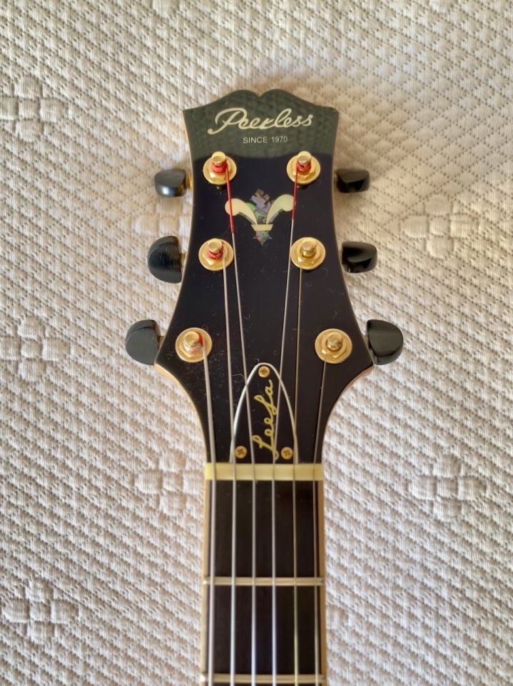 Peerless Leela 2016 de segunda mano · Foto 4 de 10 · Castellón · 1800 €