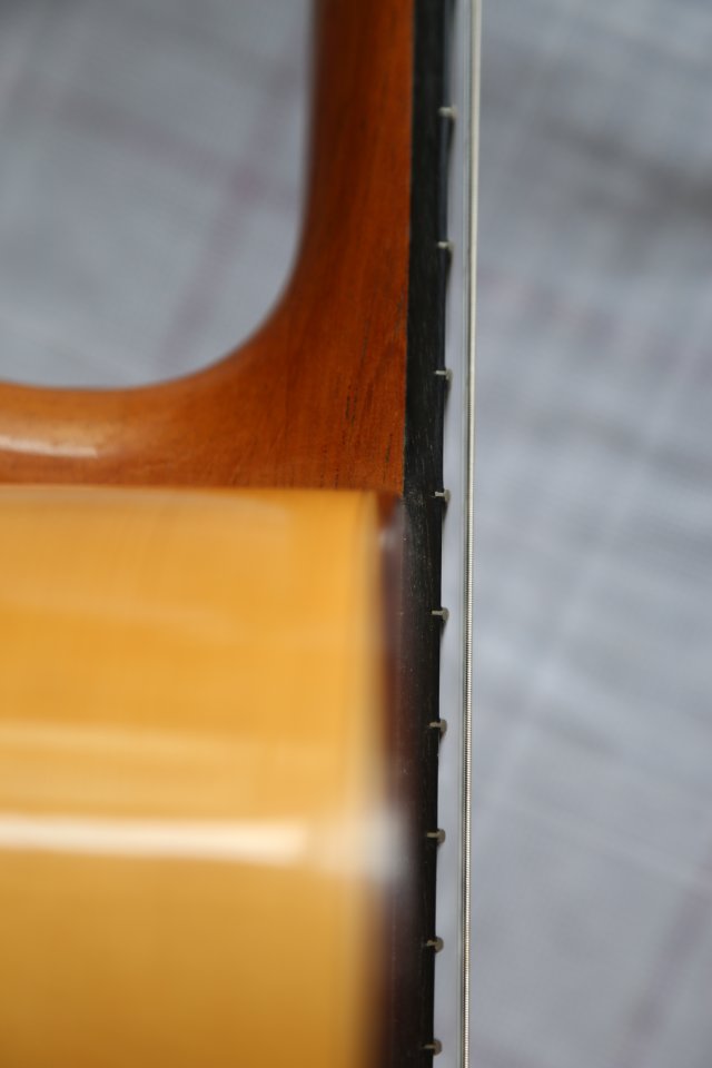 Guitarra Flamenca Antonio Raya Pardo (2016 Granada) o cambio por guitarra de Jazz