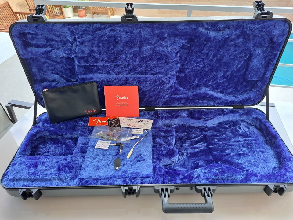 Fender Stratocaster Amercican Professional II .