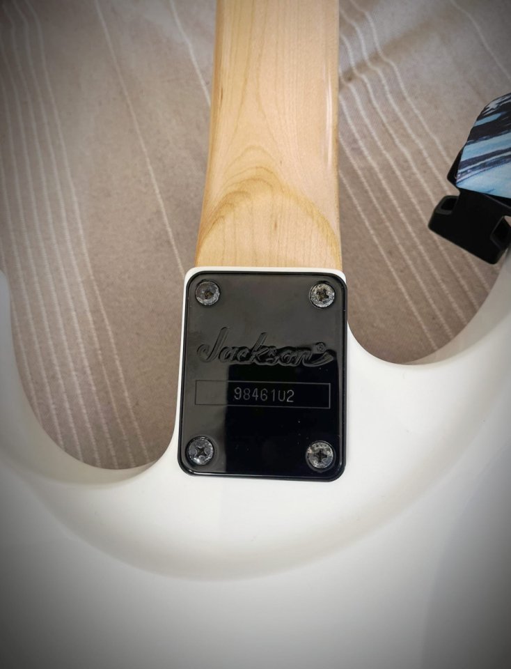 Jackson JSDK Japan (reservada)