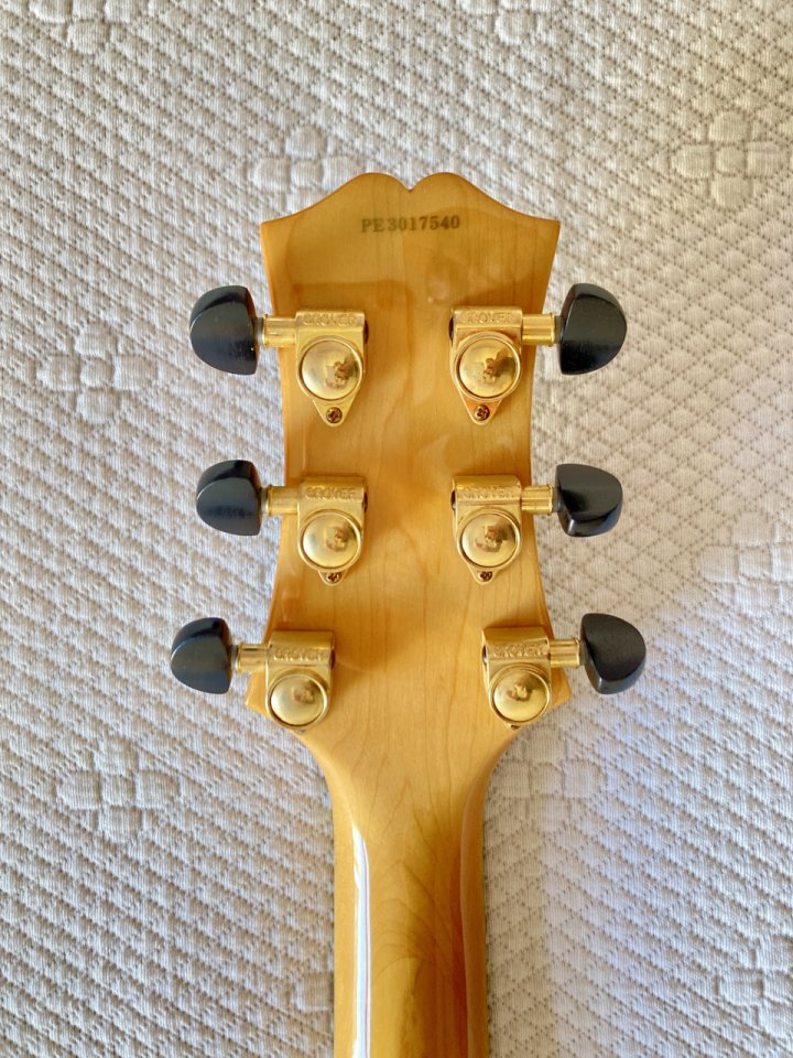 Peerless Leela 2016 de segunda mano · Foto 5 de 10 · Castellón · 1800 €