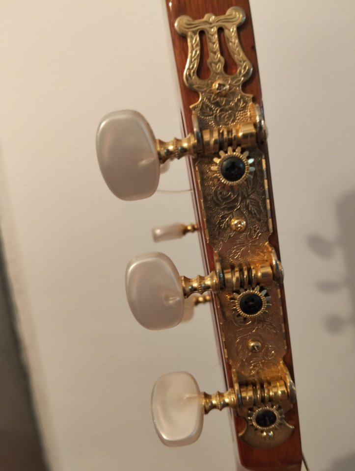 Guitarra Clásica Cutaway Amplificada de segunda mano · Foto 6 de 10 · Asturias · 350 €