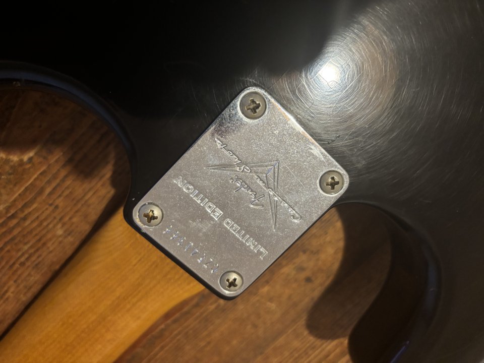 Fender Stratocaster Custom Shop Dual Mag Roasted