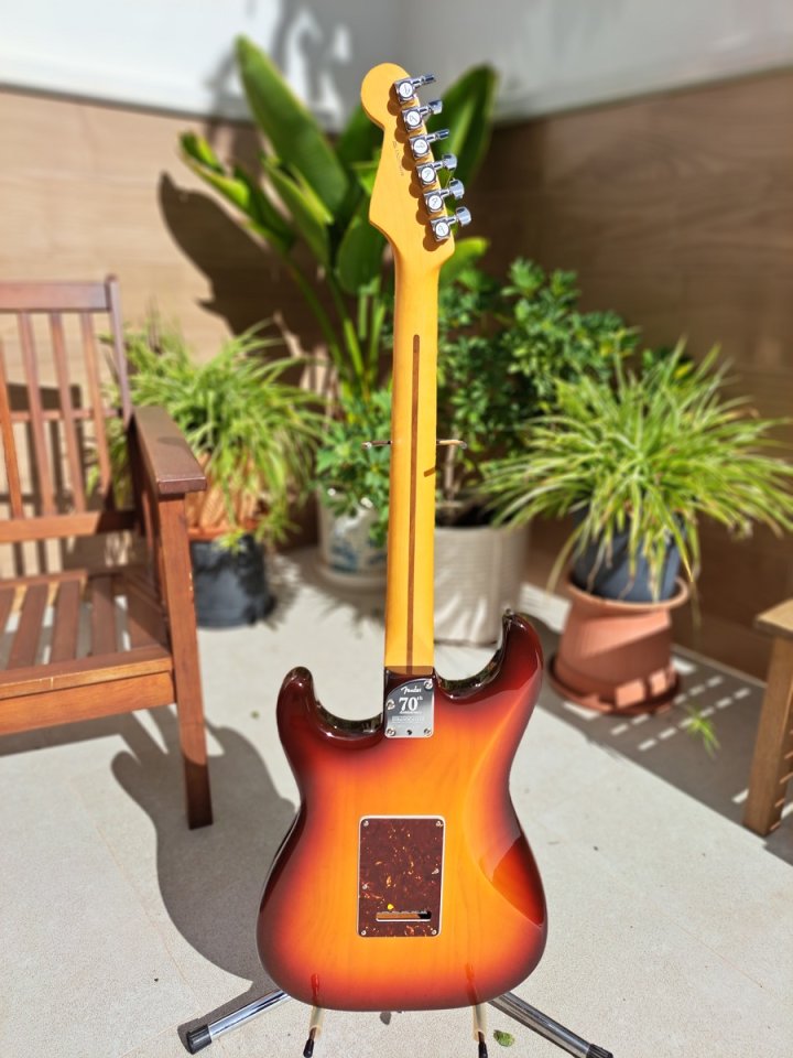 Fender Stratocaster Amercican Professional II .