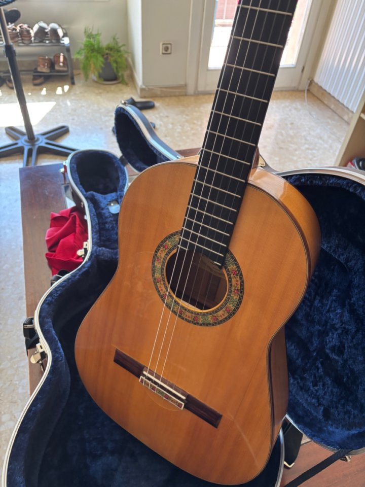 Guitarra Flamenca Francisco Gambero Ciprés Primera A de segunda mano · Foto 1 de 9 · Barcelona · 999 €