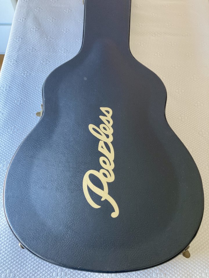 Peerless Leela 2016 de segunda mano · Foto 10 de 10 · Castellón · 1800 €
