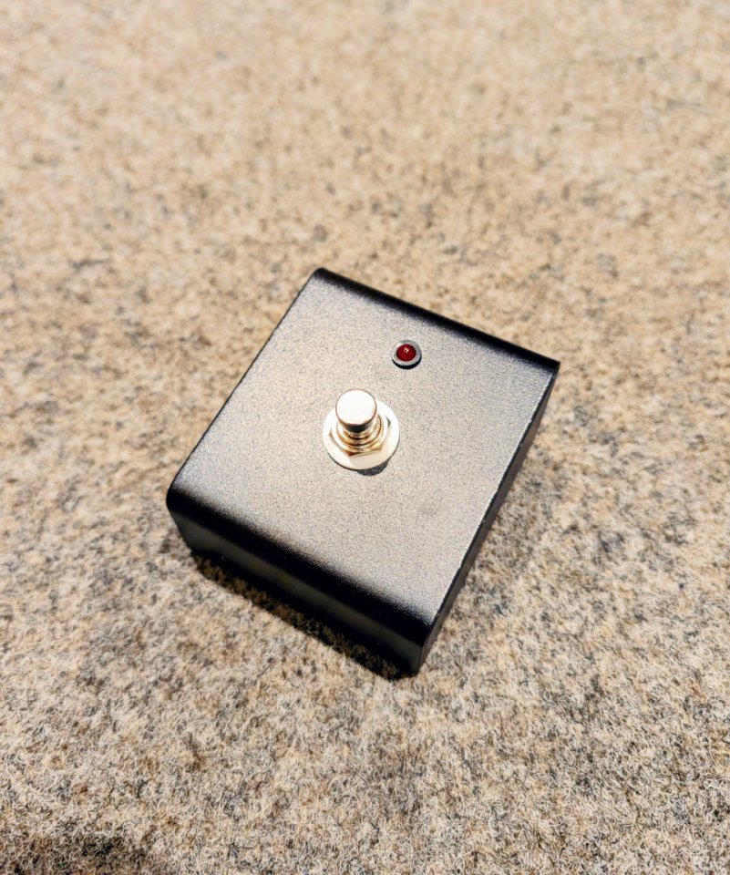 Friedman Runt 50 Combo