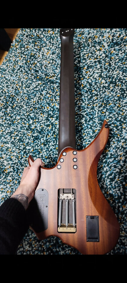 GOC Ilumina - african sapelee