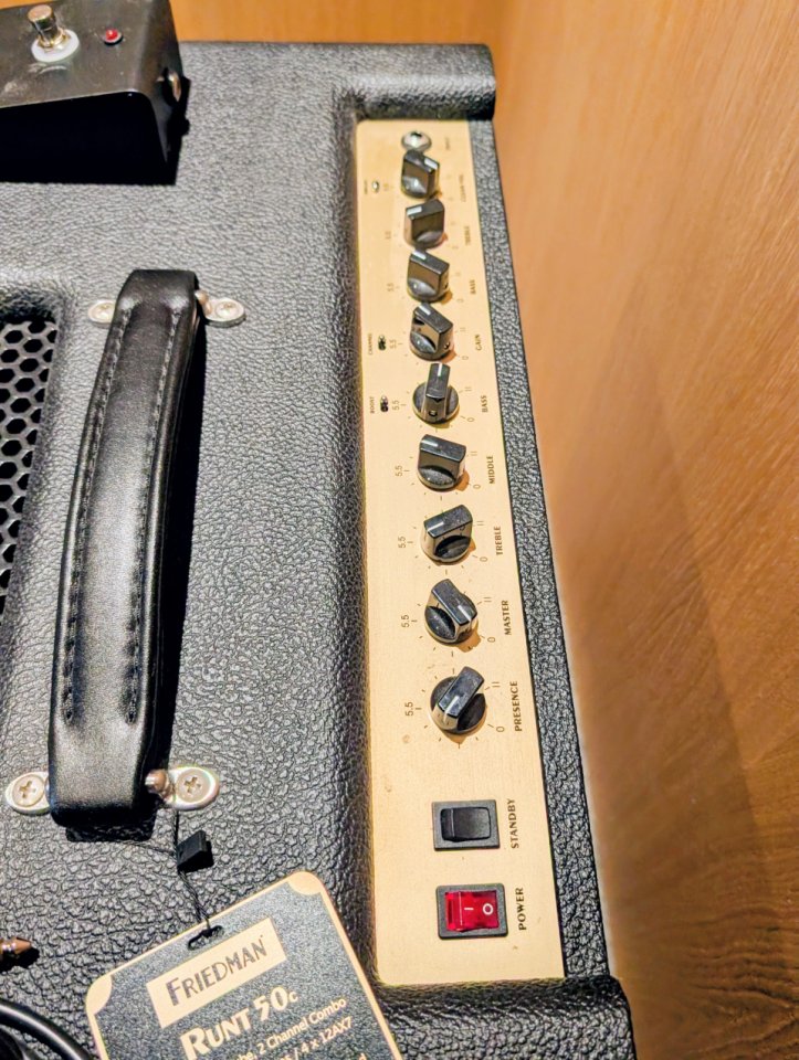 Friedman Runt 50 Combo