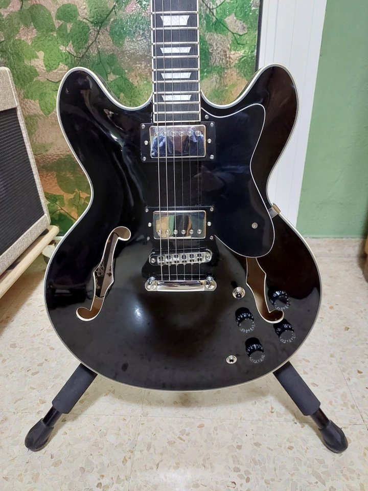 GUITARRA JAZZ DONNER DJP-1000 - color Negro de segunda mano · Foto 3 de 9 · Málaga · 245 €