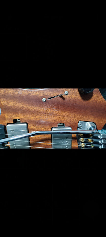 GOC Ilumina - african sapelee