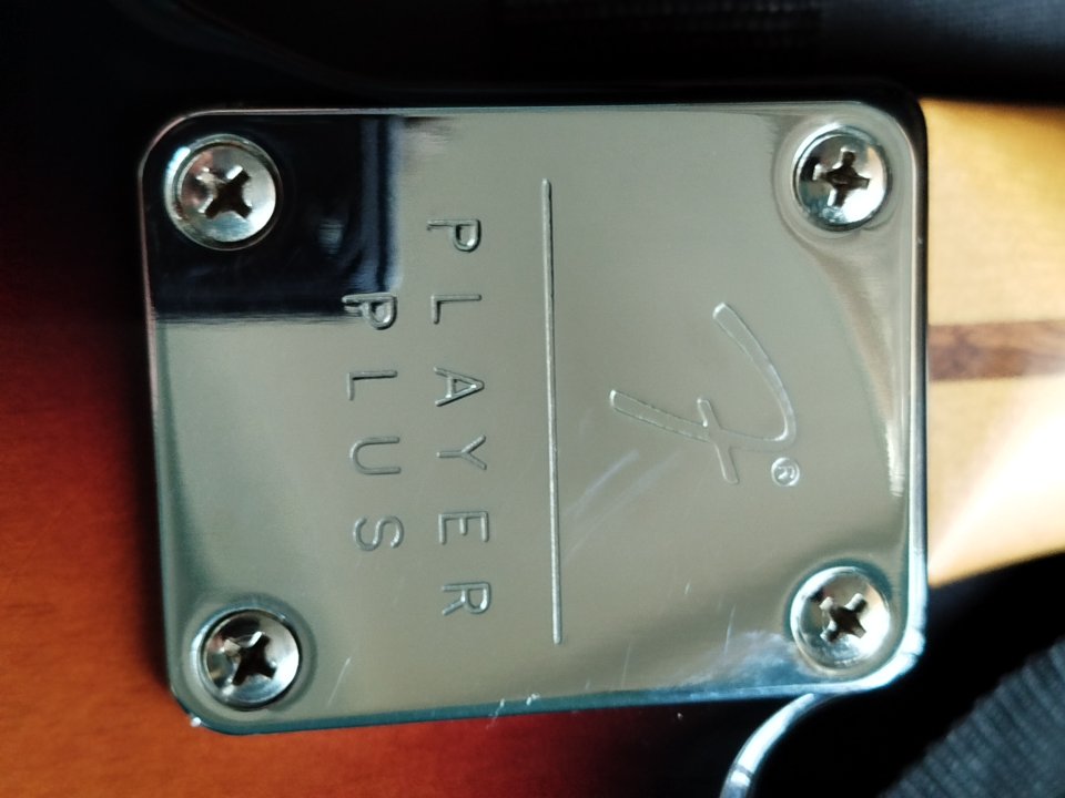 Fender Telecaster Player Plus