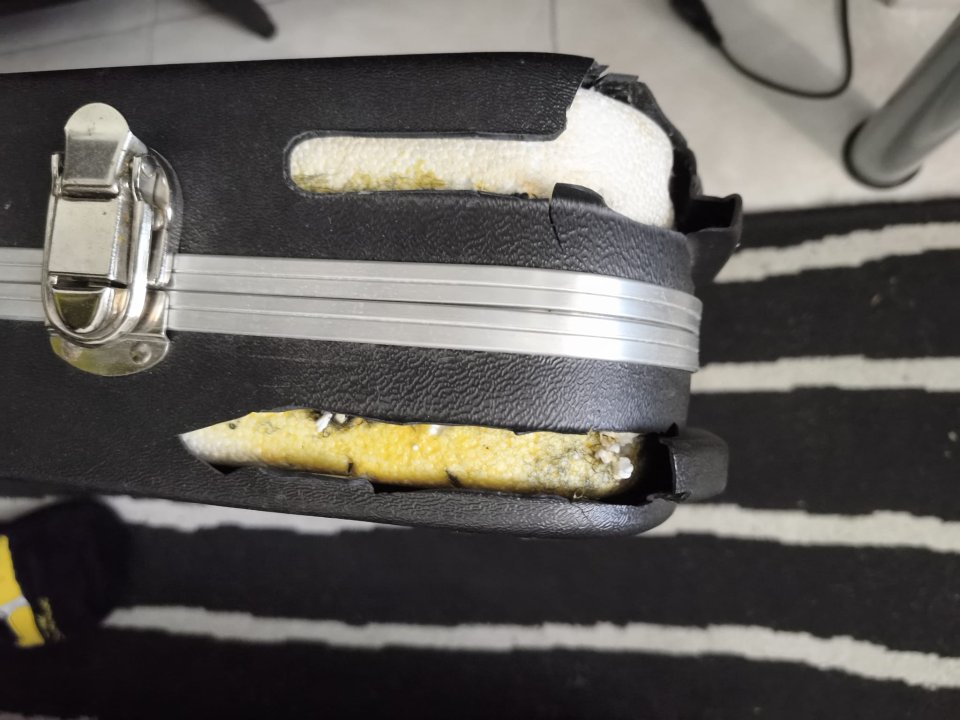 Estuche rígido para bajo Sterling USA. Music Man