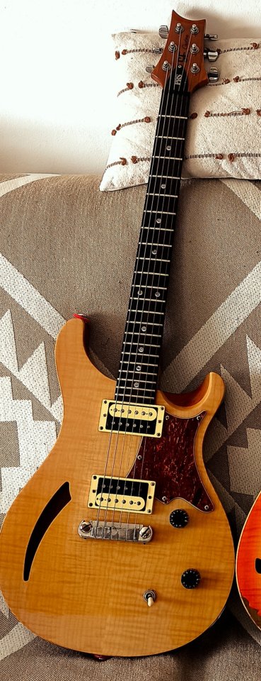 PRS SE Custom Semihollow de segunda mano · Foto 2 de 3 · Cádiz · 650 €
