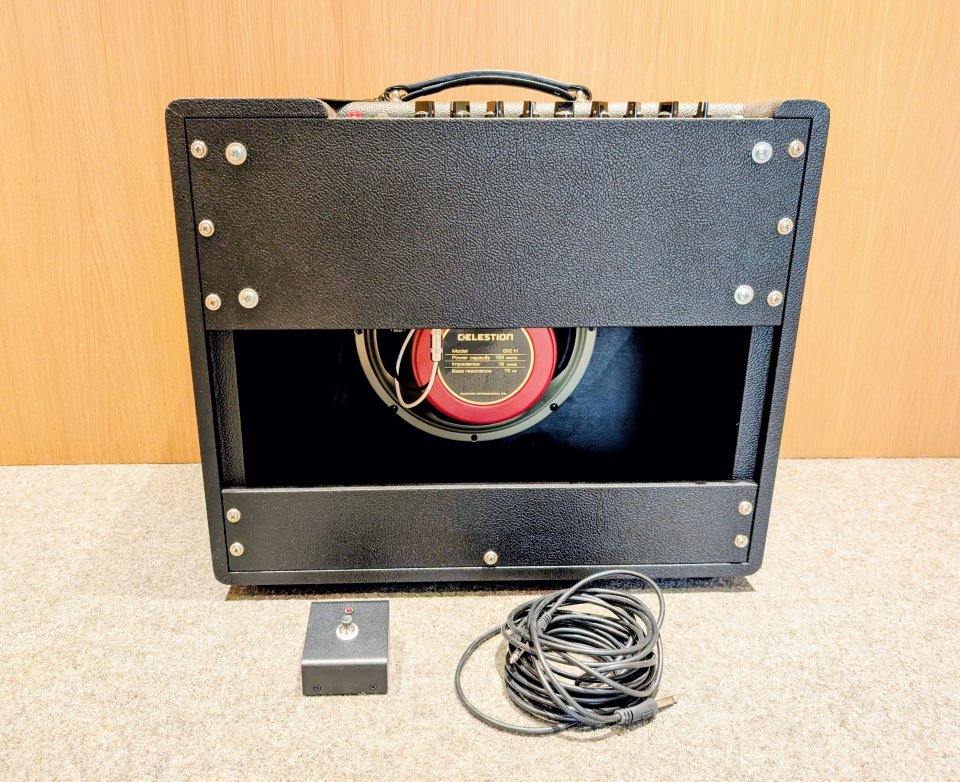 Friedman Runt 50 Combo