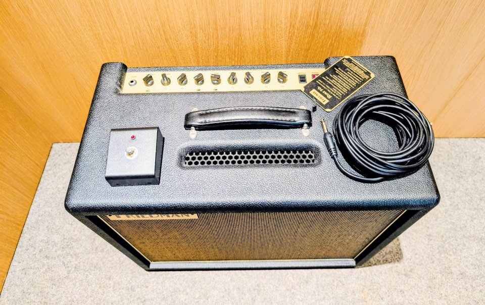 Friedman Runt 50 Combo