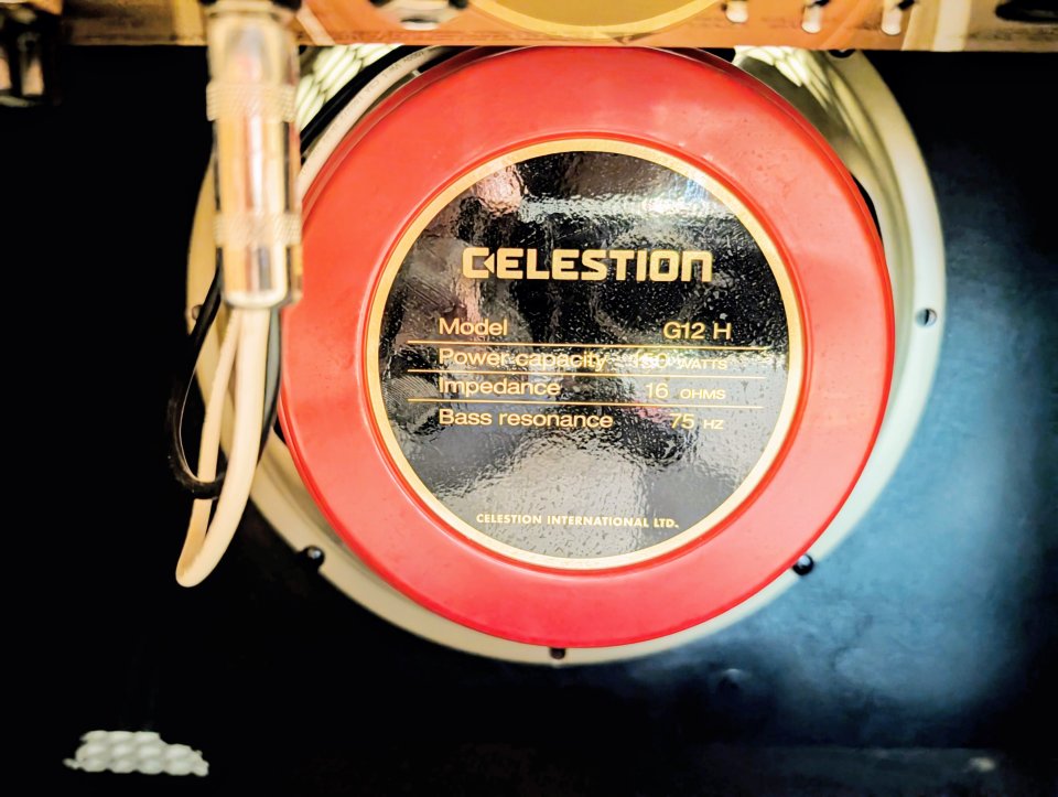 Friedman Runt 50 Combo