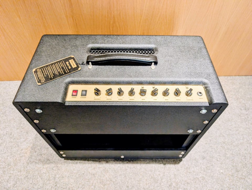 Friedman Runt 50 Combo