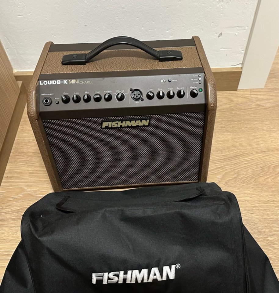 Fishman Loudbox Mini Charge