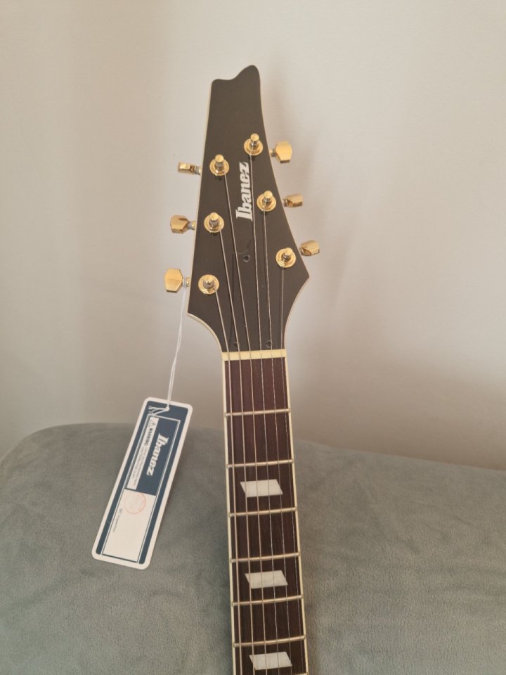 Liquido Ibanez Iceman