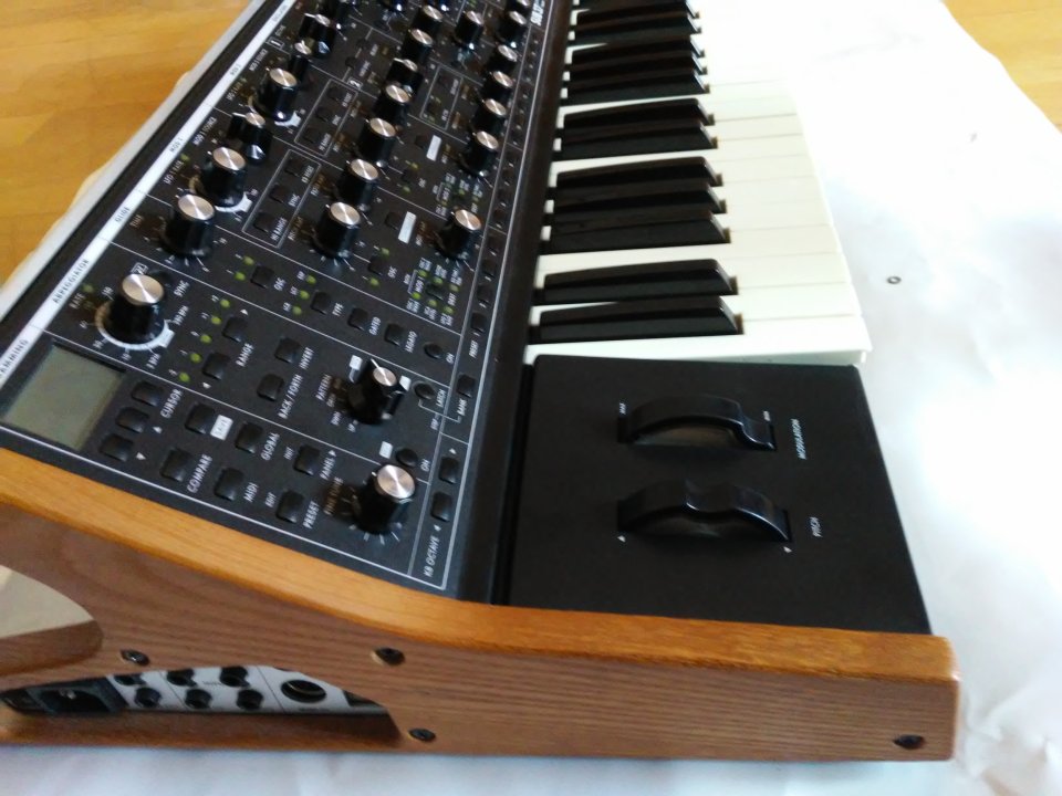 Moog sub 37 (reestreno) de segunda mano · Foto 1 de 8 · Illes Balears · 1300 €