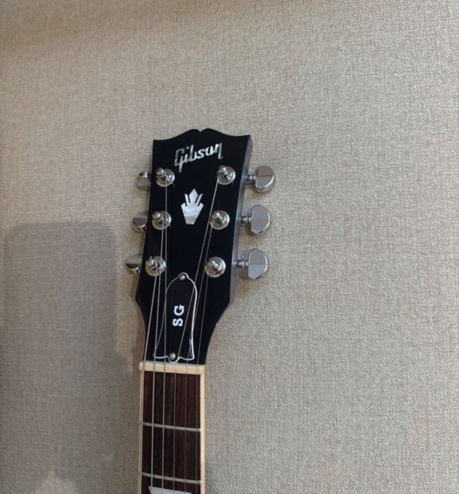 Gibson SG Standard Silver de segunda mano · Foto 3 de 4 · Valencia · 1100 €