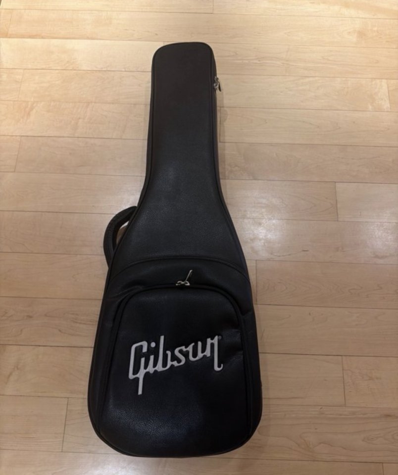 Gibson SG Standard Silver de segunda mano · Foto 4 de 4 · Valencia · 1100 €